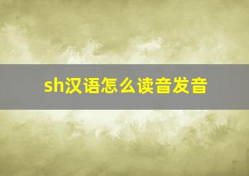 sh汉语怎么读音发音