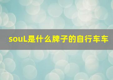 souL是什么牌子的自行车车