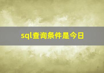 sql查询条件是今日