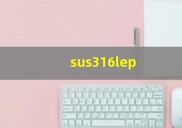 sus316lep