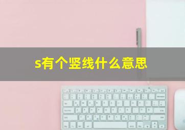 s有个竖线什么意思