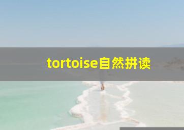 tortoise自然拼读