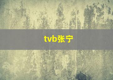 tvb张宁