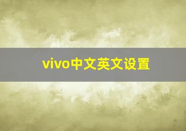 vivo中文英文设置