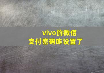 vivo的微信支付密码咋设置了