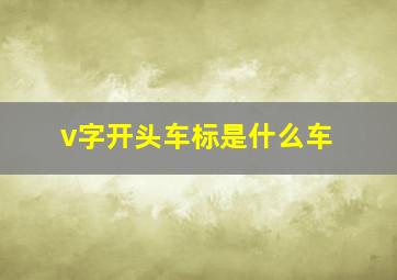 v字开头车标是什么车