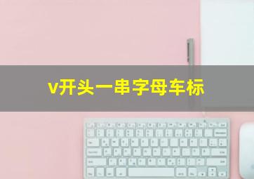 v开头一串字母车标