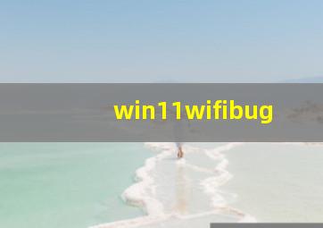 win11wifibug