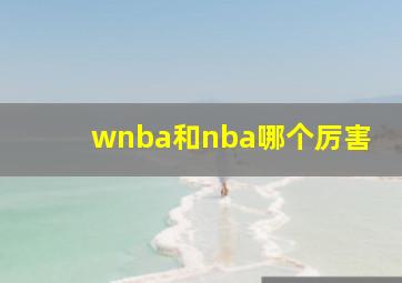 wnba和nba哪个厉害