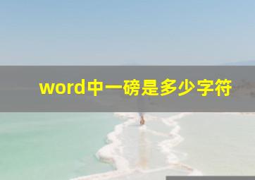 word中一磅是多少字符