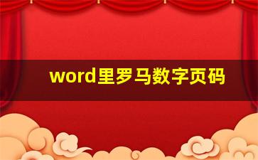 word里罗马数字页码