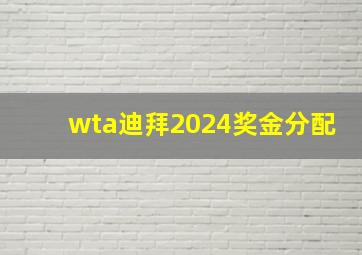 wta迪拜2024奖金分配