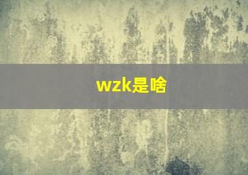 wzk是啥