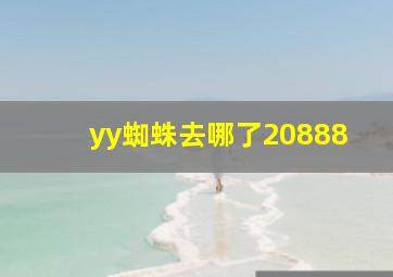 yy蜘蛛去哪了20888