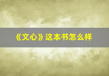 《文心》这本书怎么样