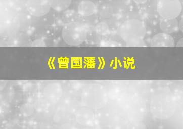 《曾国藩》小说