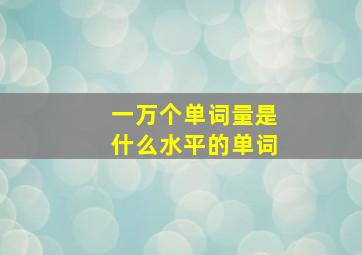 一万个单词量是什么水平的单词