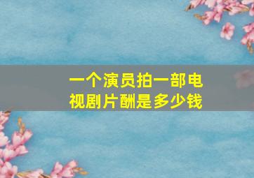 一个演员拍一部电视剧片酬是多少钱