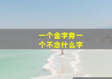 一个金字旁一个不念什么字