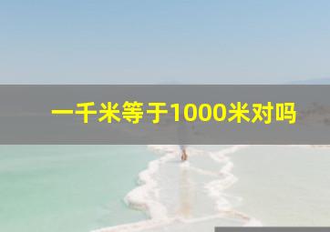 一千米等于1000米对吗