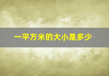 一平方米的大小是多少