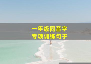 一年级同音字专项训练句子