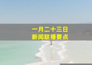 一月二十三日新闻联播要点