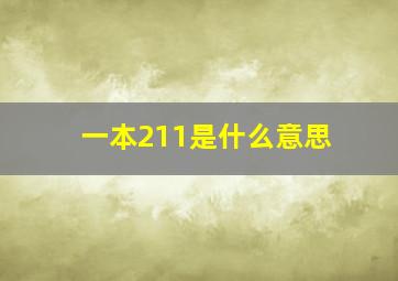 一本211是什么意思