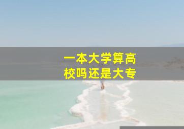 一本大学算高校吗还是大专