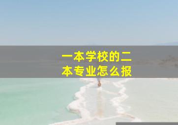 一本学校的二本专业怎么报