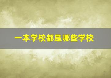 一本学校都是哪些学校