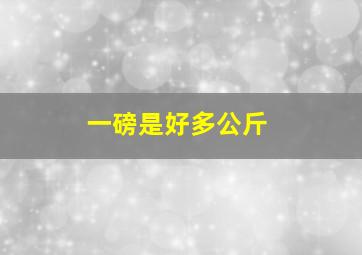 一磅是好多公斤