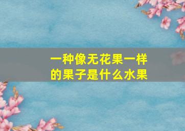 一种像无花果一样的果子是什么水果