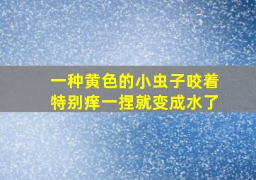 一种黄色的小虫子咬着特别痒一捏就变成水了