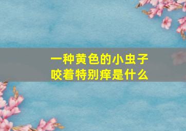 一种黄色的小虫子咬着特别痒是什么