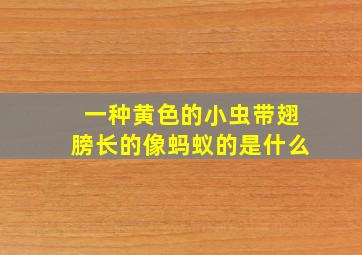 一种黄色的小虫带翅膀长的像蚂蚁的是什么