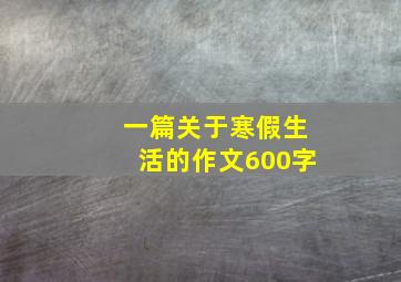 一篇关于寒假生活的作文600字