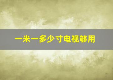 一米一多少寸电视够用