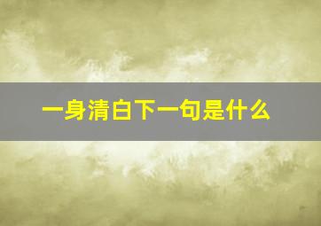 一身清白下一句是什么