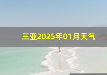 三亚2025年01月天气