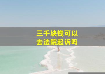 三千块钱可以去法院起诉吗