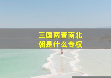 三国两晋南北朝是什么专权