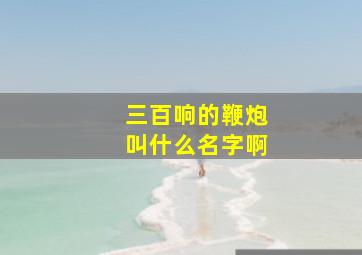 三百响的鞭炮叫什么名字啊