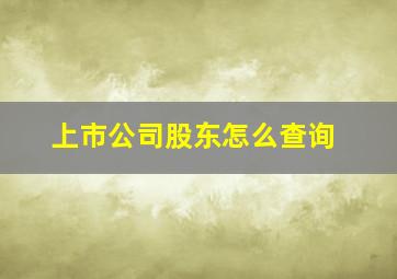 上市公司股东怎么查询