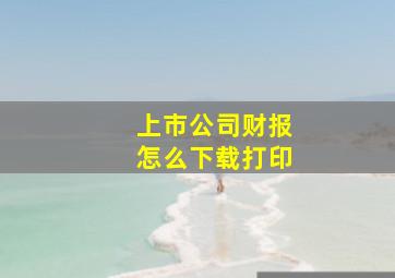 上市公司财报怎么下载打印