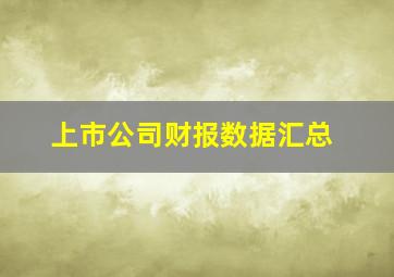 上市公司财报数据汇总