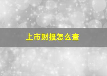 上市财报怎么查