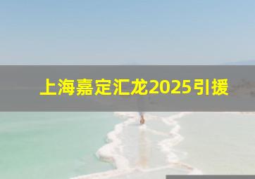 上海嘉定汇龙2025引援