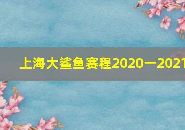 上海大鲨鱼赛程2020一2021