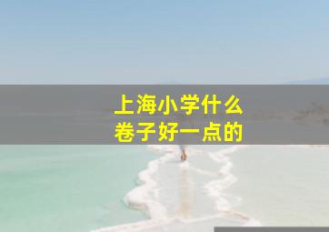 上海小学什么卷子好一点的